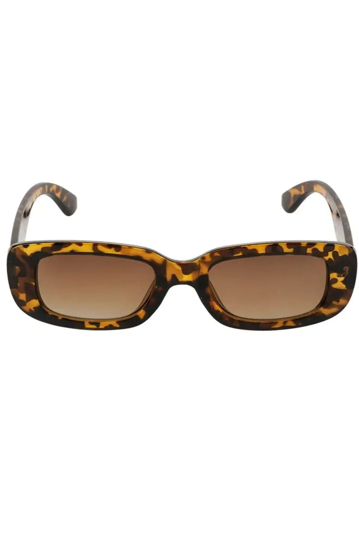 Meet Me There Sunglasses|Ivy Sunglasses
